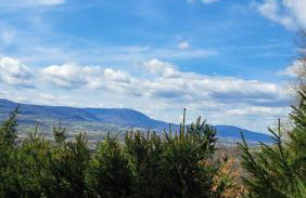 Świerkowy Zakątek u Bacy - Foto 29