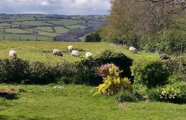 Willow Spacious Self Catering Near Hay on Wye - Photo 8