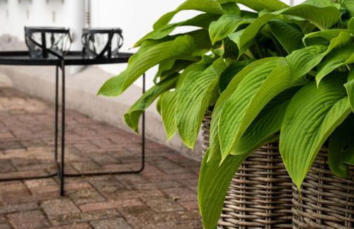 Die kleine Lotti - Foto 13