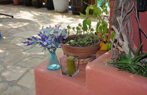 Entre Olivos: Very Charming Villa 18 SLEEPERS - Photo 22