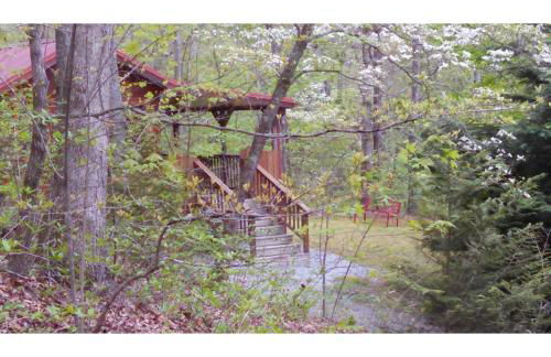 Cabin in the Woods-Peaceful 1BR 20-Acre Rural Retreat-HotTub&WiFi near Asheville - Foto 1