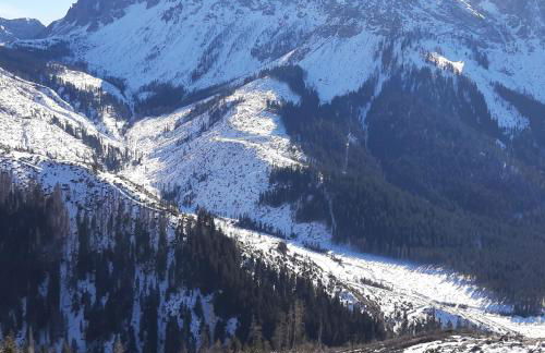 DOLOMITI DA VIVERE - Photo 40