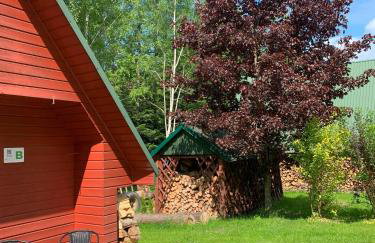 Domki pod Kiczerą w Baligrodzie, Bieszczady - Foto 8