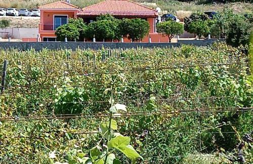 Private villa , 5 min drive from the beach - Foto 1