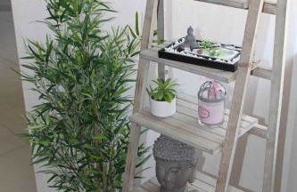 Le Bacchus - Foto 19