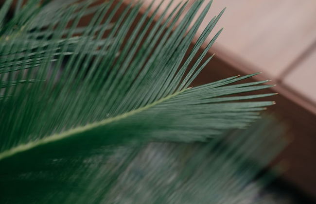 H2 Pool villa - Foto 33