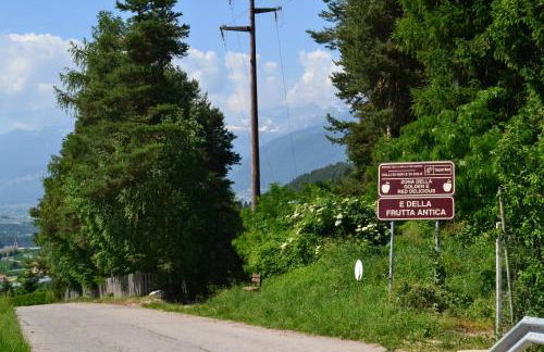 Agritur Maso Forcola - Photo 23