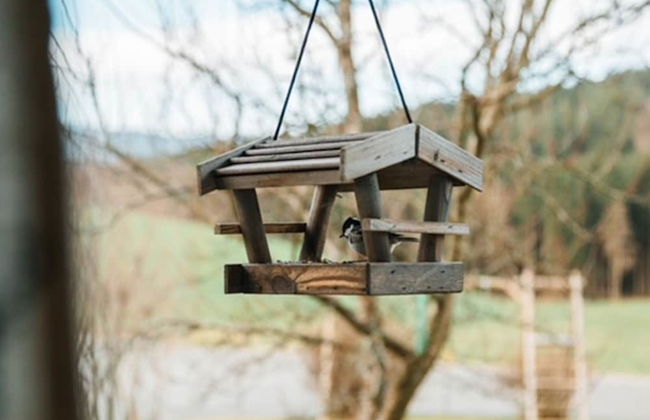 Holiday Home in Rattersberg Bavaria With Terrace - Foto 17