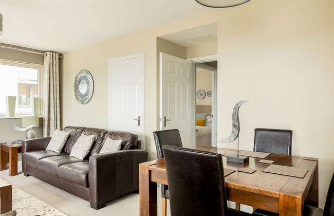 About Tern - Foto 16