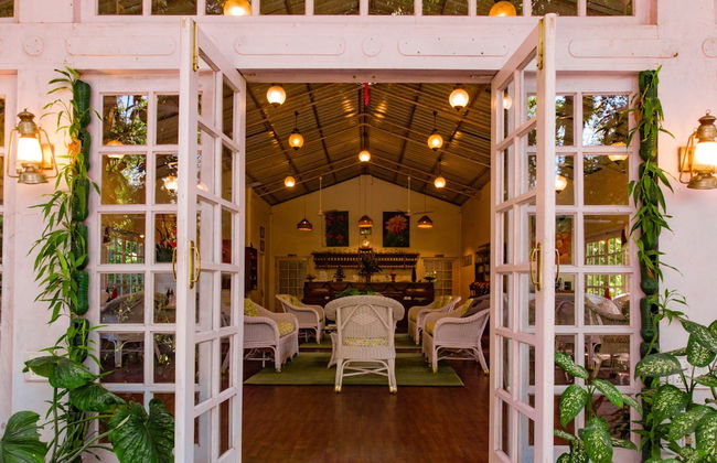 Wild Mahseer - Foto 15