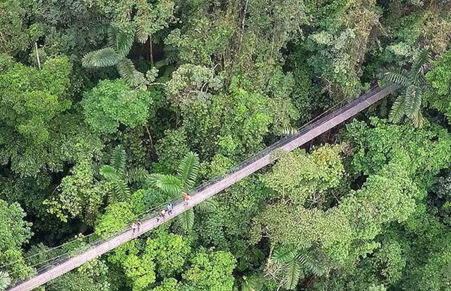 Tour dei Ponti Sospesi di Mistico Park - Foto 4