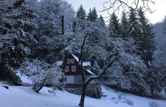 Sunny Slope & Sauna - Foto 35