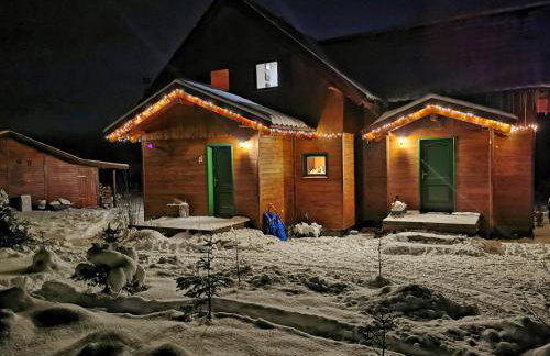 Apartament Zielone Okiennice - Foto 56