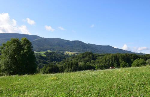 Teisenbergblick - Foto 13