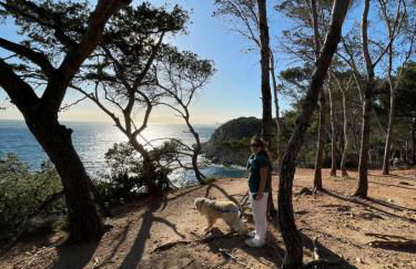 VUE EPOUSTOUFLANTE SUR BANDOL & LA MER 2 pièces, piscine tout confort 4 étoiles, très calme, terrasse spacieuse sans vis à vis, parking privé résidence standing - Foto 29
