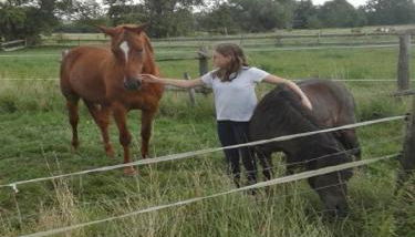 Reit- und Ferienhof Emstal - Foto 5