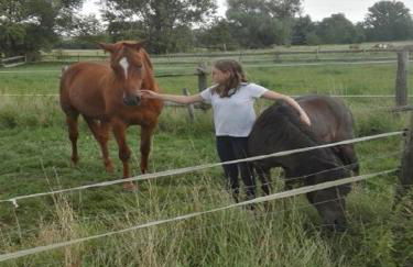 Reit- und Ferienhof Emstal - Foto 5