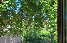 Gemütliches 1-Zimmer-Appartment mit Balkon - Foto 7