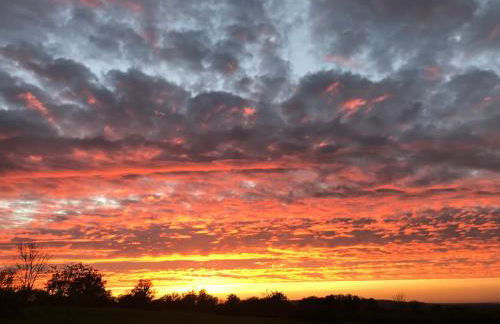 Bruyère en Fleur - Photo 26