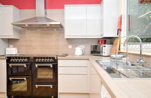 Pedals And Paddles - Foto 11