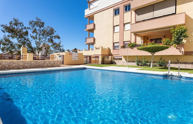 Ave Marina - Foto 28