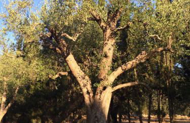 Casa Christina - Foto 23