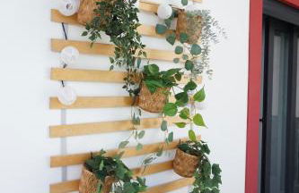 Casa Gaio's - Foto 15