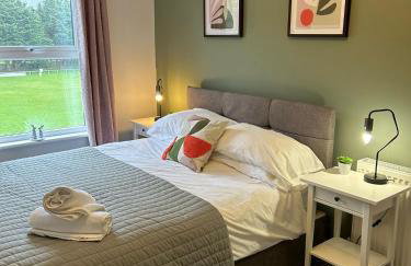 Homely house at the foot of Snowdonia - Photo 12