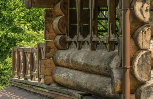 Kałamunka - Foto 69