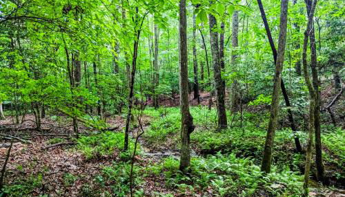 White Owl Cottage - Foto 5