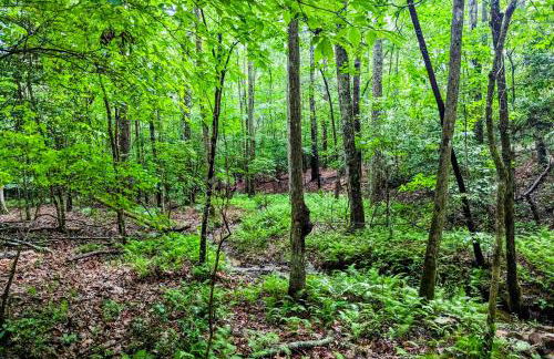 White Owl Cottage - Foto 5