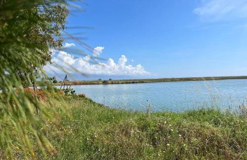 Casa caretta caretta - Foto 24