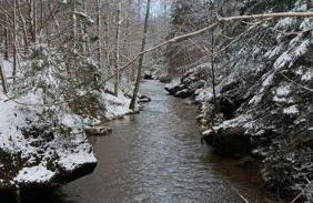 Ferienwohnung im Fachwerkhaus - Foto 34