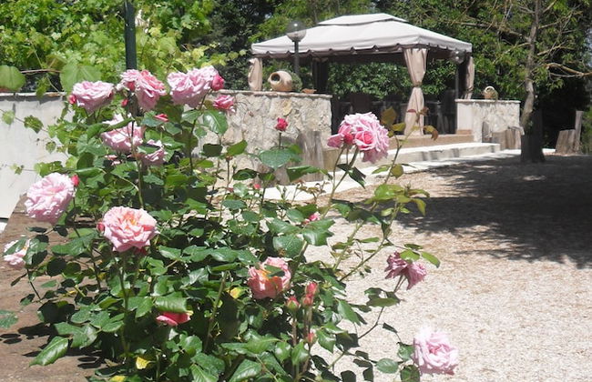 Il Querceto - B&B e Appartamenti Vacanze - Foto 59