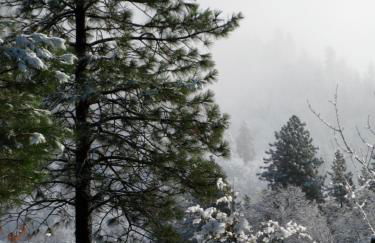 Fivespot Cabin - Foto 38