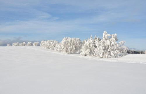 Sport Rees - Ferienwohnung Pia - Foto 35