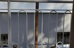 Villa Cecilia - Foto 1