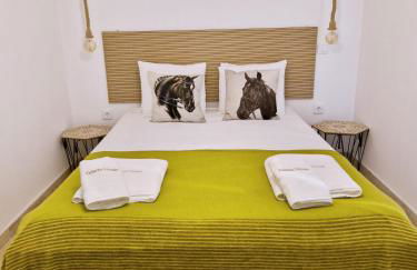 Casa Lusitano by Valada Village - Foto 27