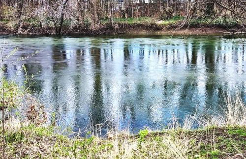 Wolf's Cabin-Walk to Downtown Noblesville - Foto 42