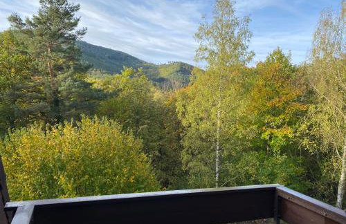 Gîte au nid de l’écureuil - Foto 17