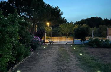 Sofia's Yard House - Foto 51