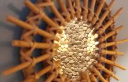 Holiday Home Forest INN - Foto 65