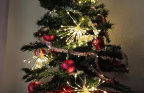 31 avenue GEORGES CLEMENCEAU - Foto 26