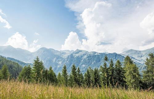 Chalet Baita al Compo by Interhome - Photo 11