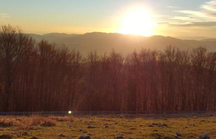 La Cascina della Vachina - Foto 39