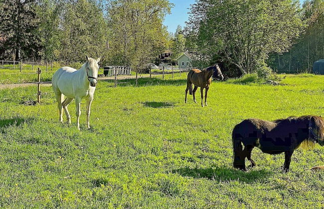 6 Person Holiday Home in Norrtalje - Photo 15