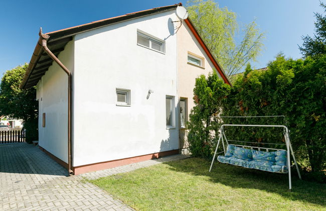 Mathias Rex - Foto 14