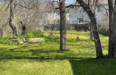 Hill Country Haven: Gateway to TXST and San Marcos - Foto 43