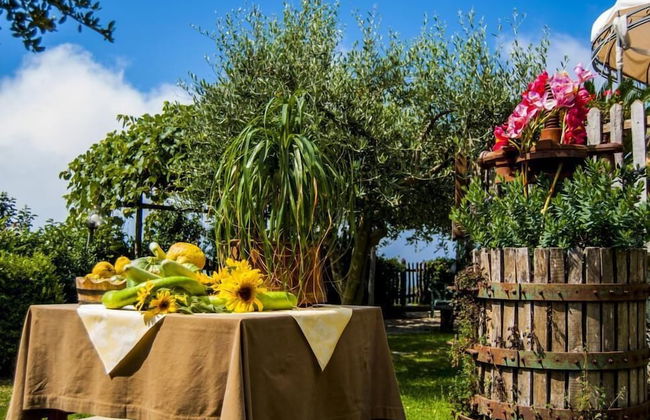 Agriturismo Mare e Monti - Foto 58