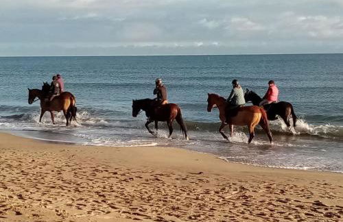 Appartement calme dans villa, piscine et spa et mer - Foto 20